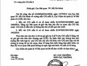 Khác biệt về trị giá FOB và CIF trên CO