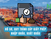 Hồ sơ, quy trình Thủ tục xin cấp giấy phép(Quota)  nhập khẩu, xuất khẩu